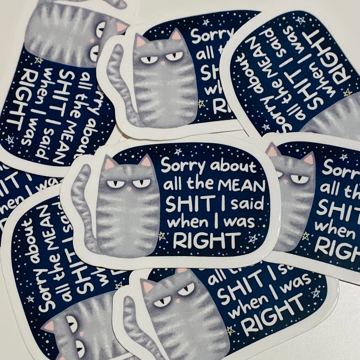 Sorry about all the mean shit I said when I was Right Sticker