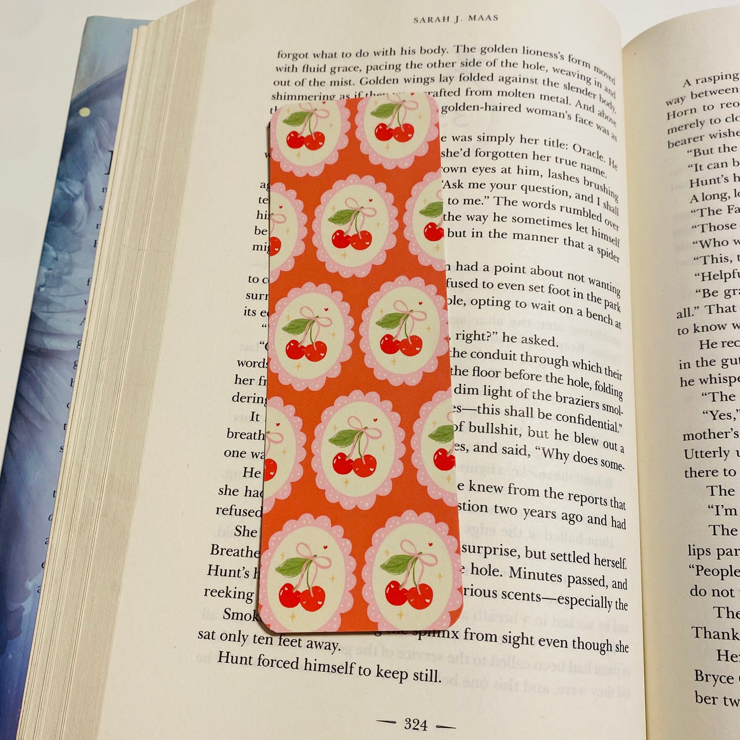 Framed Cherries glossy Bookmark