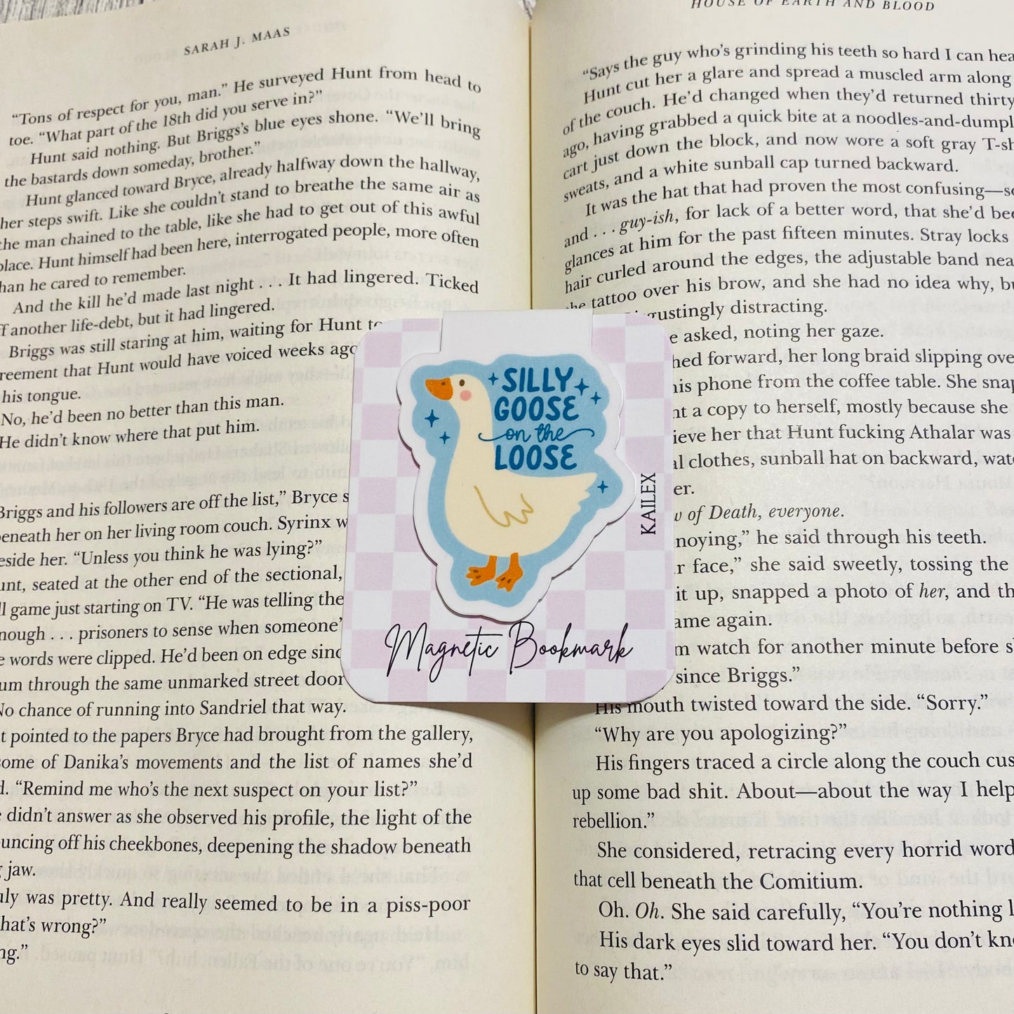 Silly Goose on the Loose blue Magnetic Bookmark