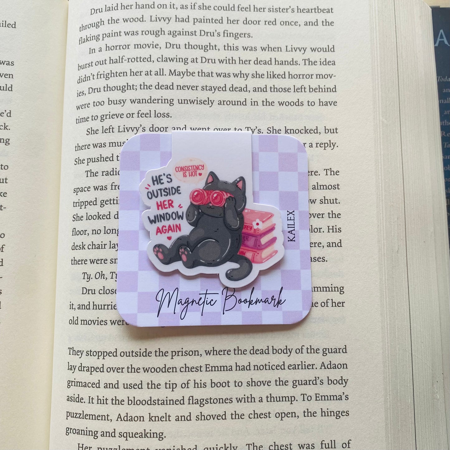 He's outside her window again black cat with pink books Magnetic Bookmark