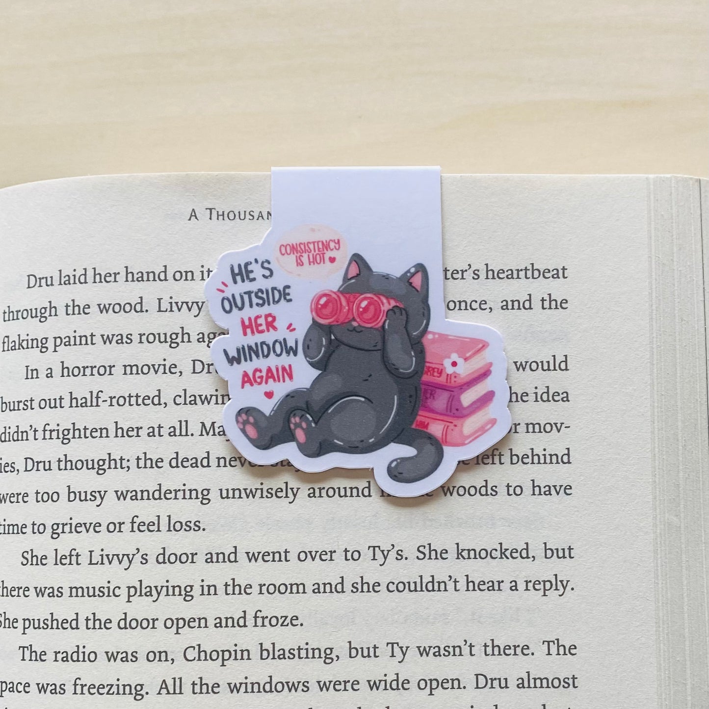 He's outside her window again black cat with pink books Magnetic Bookmark